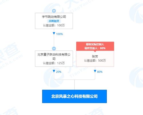 字節(jié)跳動關(guān)聯(lián)公司布局基礎(chǔ)軟件服務(wù)領(lǐng)域，戰(zhàn)略投資彰顯科技生態(tài)新動向